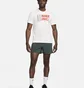 Футболка мужская Nike T-Shirt Do Fitnessu Dri-Fit White FV8360-133