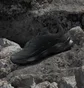 Кросівки чоловічі Adidas Terrex Skychaser Ax5 Gore-Tex Black JQ2210