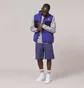 Жилетка чоловіча Nike Acg Arctic Wolf Vest Blue FN2448-510