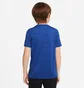Футболка детская Nike Dri-Fit Hbr Ss Top Blue DA0282-492