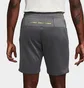 Шорты мужские Nike Air Max Pk Short Grey FV5592-068