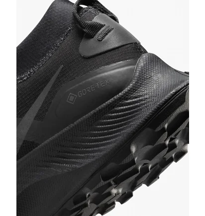 Кросівки жіночі Nike Pegasus Trail 3 Gtx Black DC8794-001