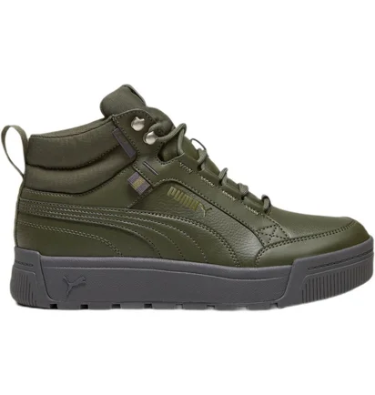 Кросівки чоловічі Puma Tarrenz Sb Iii Puretex Green 393930-03
