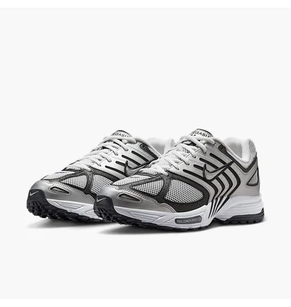 Кросівки чоловічі Nike Air Pegasus 2005 Metallic HQ3031-002
