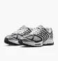 Кросівки чоловічі Nike Air Pegasus 2005 Metallic HQ3031-002
