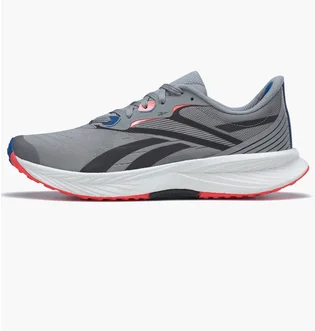 Кросівки чоловічі Reebok Floatride Energy 5 Grey GY0073