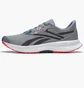 Кросівки чоловічі Reebok Floatride Energy 5 Grey GY0073