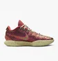 Кроссовки унисекс Nike Lebron Xxi Queen Conch Basketball Shoes Bordo FN0708-800