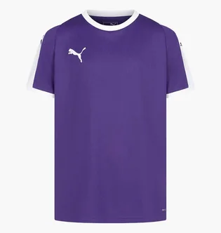 Футболка детская Puma Liga Jersey Violet 703418-10
