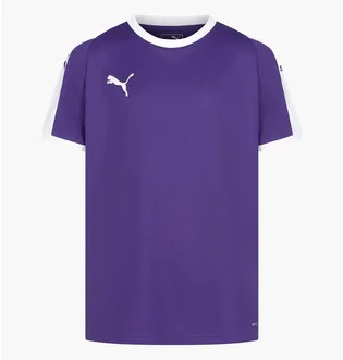 Футболка детская Puma Liga Jersey Violet 703418-10