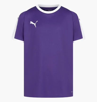Футболка детская Puma Liga Jersey Violet 703418-10