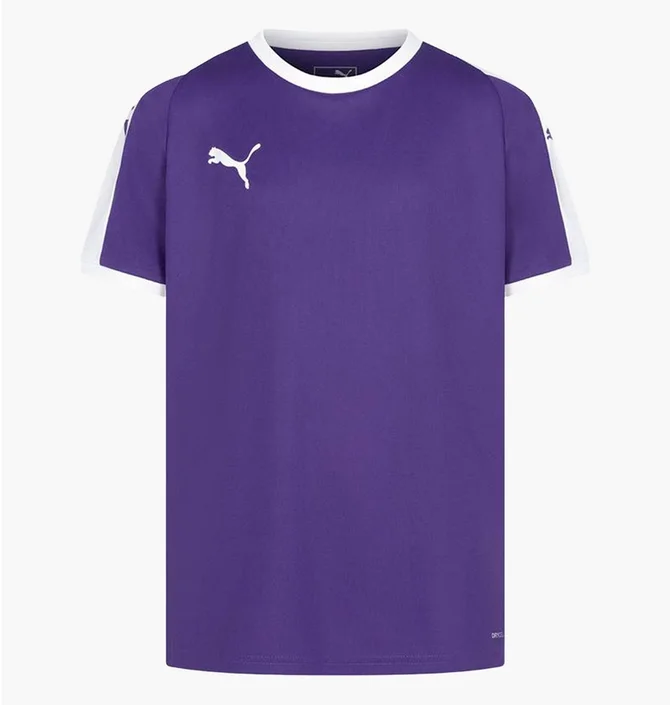 Футболка детская Puma Liga Jersey Violet 703418-10
