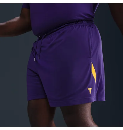 Шорти чоловічі Nike Kb U Nk Df Fund 6In Short Violet HJ8103-547