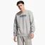 Свитшот мужской Adidas All Szn Fleece Graphic Sweatshirt Grey IC9823