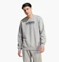 Свитшот мужской Adidas All Szn Fleece Graphic Sweatshirt Grey IC9823