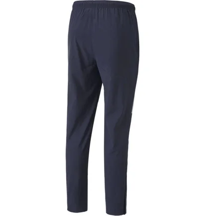 Штаны мужские Puma Teamliga Sideline Pants Blue 657261-06
