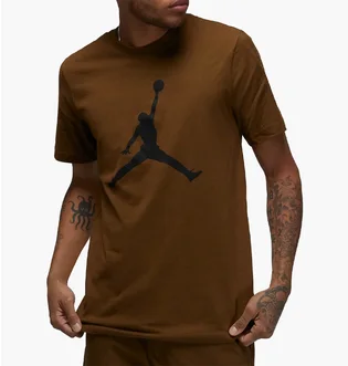 Футболка мужская Air Jordan Jumpman Brown Cj0921-385