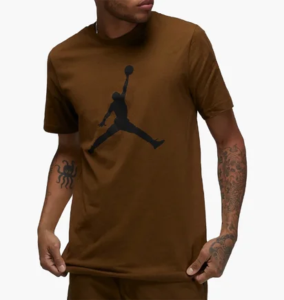 Футболка мужская Air Jordan Jumpman Brown Cj0921-385