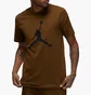 Футболка мужская Air Jordan Jumpman Brown Cj0921-385