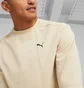 Світшот чоловічий Puma Rad/Cal Beige 673317-88