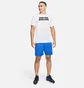 Шорты мужские Nike Dri-Fit Knit 6.0 Training Shorts Blue DD1887-480