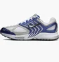 Кросівки унісекс Nike Pegasus 2005 White/Blue HQ5403-401