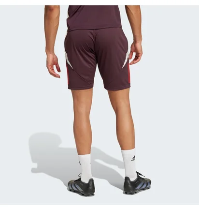 Шорты мужские Adidas Fc Bayern Tiro 24 Training Bordo IS9949