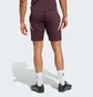 Шорты мужские Adidas Fc Bayern Tiro 24 Training Bordo IS9949
