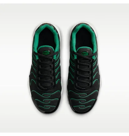 Кроссовки мужские Nike Air Max Plus Older Kids Shoes Black HF0094-001
