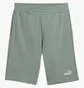 Шорти чоловічі Puma Ess 2 Color No.1 Logo Shorts 10 Green 684715-30