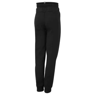 Штани чоловічі Puma Essentials Black 847626-01