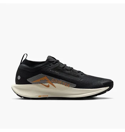 Кроссовки мужские Nike Pegasus Trail 5 Gore-Tex Black FQ0908-007