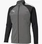 Олимпийка мужская Puma Teamliga Training Jacket Grey/Black 657234-13