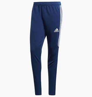 Штаны мужские Adidas Tiro17 Trg Pnt Bs3674 Blue