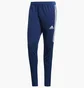Штаны мужские Adidas Tiro17 Trg Pnt Bs3674 Blue