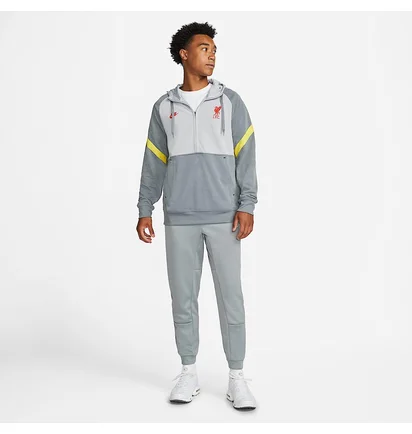 Худи мужское Nike Liverpool Fc Travel Fleece Grey DB7824-016