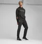 Худи мужское Puma Mercedes Amg Petronas Motorsport Black 623749-01