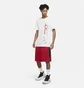 Шорты мужские Air Jordan Dri-Fit 23 Alpha Shorts Bordo CD5064-687