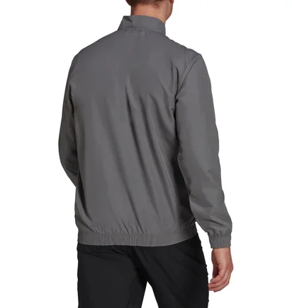 Олимпийка мужская Adidas Jacket Ent22 Pre Jkt Grey H57535