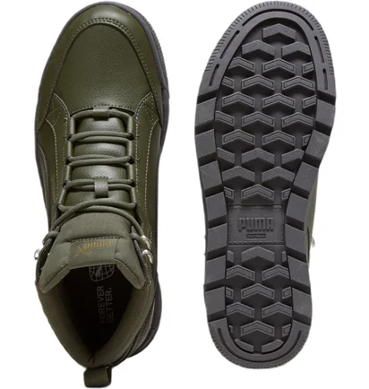 Кросівки чоловічі Puma Tarrenz Sb Iii Puretex Green 393930-03