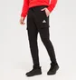 Штаны мужские Adidas M Felczy C Pant Black HL2226