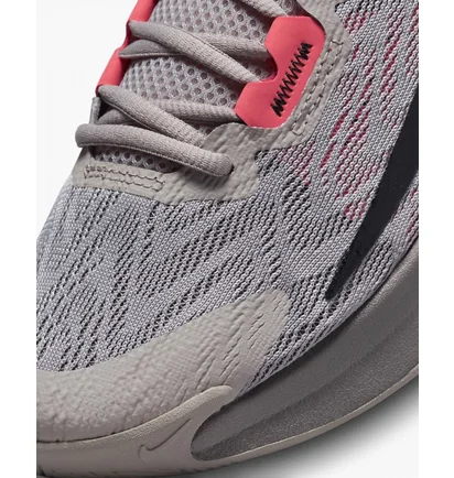 Кроссовки унисекс Nike Giannis Immortality 2 Grey DM0825-003