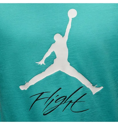 Футболка чоловіча Air Jordan Jumpman Flight Hbr Tee Turquoise AO0664-392