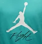 Футболка чоловіча Air Jordan Jumpman Flight Hbr Tee Turquoise AO0664-392