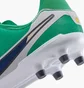 Бутсы детские Nike Legend 10 Academy Fg/Mg Lv8 Green HJ7190-300