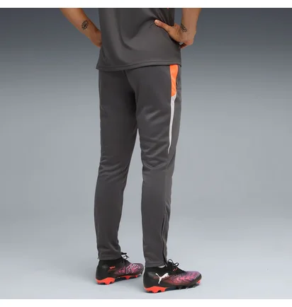 Штаны мужские Puma Individualliga Grey 659517-10