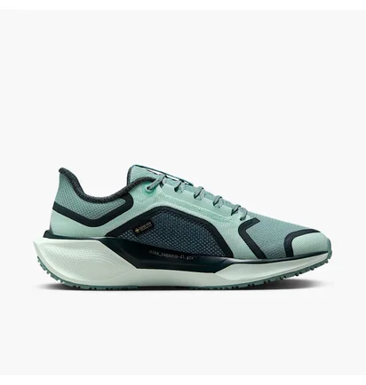 Кросівки жіночі Nike Pegasus 41 Gore Tex Turquoise FQ1357-003