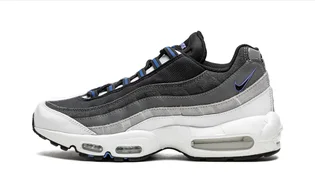 Кроссовки мужские Nike Air Max 95 Black/Grey DH4754-001