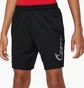 Шорты детские Nike Trophy23 Older Kids Dri-Fit Training Shorts Black FN8706-010