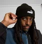 Шапка чоловіча Puma Logo Black 942291-01